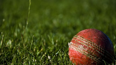 英雄联盟全球总决赛T1战队夺冠之路精彩操作集锦