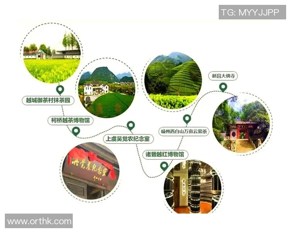 茶堂内外：探索茶文化的传承与创新之道