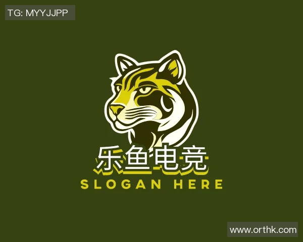 专访杨强：探寻篮球背后的成功秘诀与心路历程